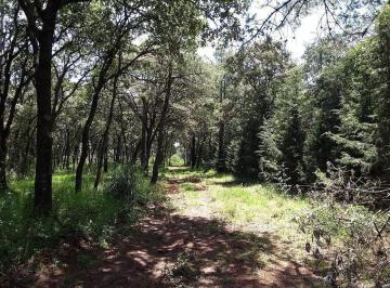Terreno / Lote · 9283m² · Terreno en Venta, Jilotzingo, Edo de Mexico