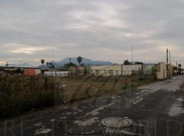 Terreno / Lote · - Tr Terreno en Renta Salinas Victoria