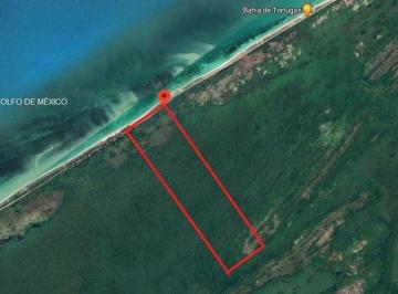 Terreno / Lote · 1000000m² · - Tv Terreno en Venta en Campeche