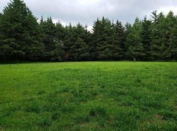 Jajalpa, Ocoyoacac, terreno en venta · Jajalpa, Ocoyoacac, Terreno en Venta