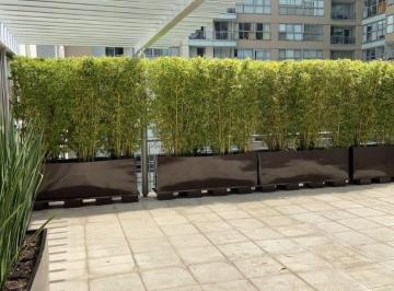 Departamento de 2 habitaciones, Miguel Hidalgo · Departamento con Terraza en Nuevo Polanco