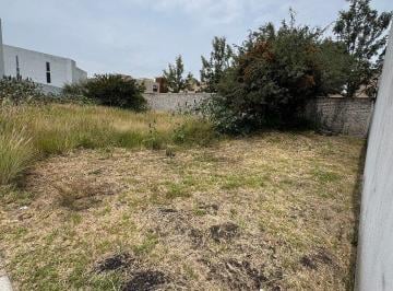 0eeed05a4ef5f2fb44946ec0cc0dd6bead37149df9bb0e07350c48033d86d395 · Terreno en Venta El El Refugio Queretaro Dentro de Bohai