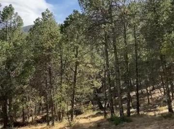 1 · Terrenos en Venta Huachichil Arteaga Coahuila