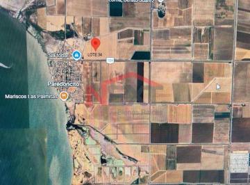 Foto principal · Terreno Agrícola en Venta – Valle del Yaqui