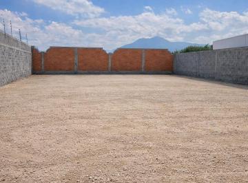 Terreno / Lote , Saltillo · Terreno Frente a Areas Verdes en Fracc. Jardines de Versalles! Unico E Inigualable