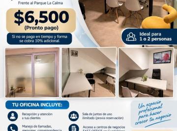 Oficina , Zapopan · Oficina en Renta – La Calma