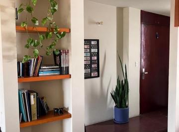 Departamento de 1 habitación, Cuauhtémoc · Precioso Loft en La Roma Sur