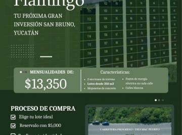 Terreno / Lote , Dzemul · Residencial Flamingo