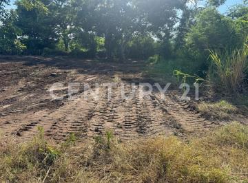 Terreno / Lote · 600m² · Terreno en Renta de 600 m² en Col. El Roble, Dos Lomas, Veracruz.