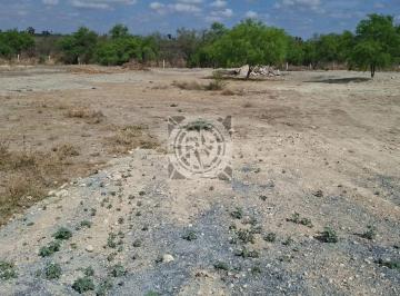 Terreno / Lote , General Zuazua · Terreno en Renta en General Zuazua, Nuevo León