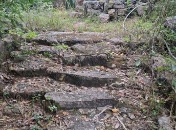 Rancho , Valladolid · Terreno de 200 Has Propiedad 1 Cenote