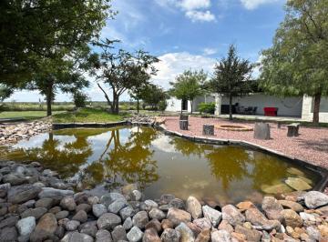 Quinta de 1 habitación, Aguascalientes · Cz - Palapa en Venta con Terreno de 1,131 m² - Los Huizachez