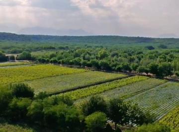 e2bf692c12a3eea84e8711b192ae48ad99e94a200abb4dce667af29a27e8e762 · Venta de Terreno / Rancho en Montemorelos