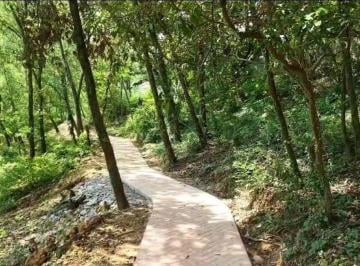 6f643248a514c9c9f720d068977d8329ef3df730a9985beebe143147f8dd2a7c · Terrenos Residenciales en Carretera Nacional Valle del Encino