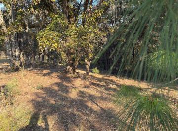 Terreno / Lote , Huasca de Ocampo · Se Vende Terreno Campestre en Huasca de Ocampo
