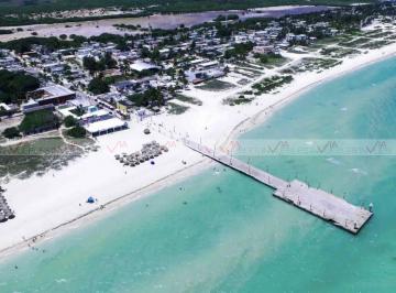 Terreno / Lote · 100000m² · Terreno / Lote en Venta en Hunucmá