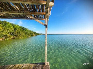 Terreno / Lote · 5000m² · 1 Recámara · Venta - Terreno - Frente a La Laguna - Bacalar