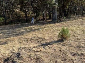 Terreno / Lote , Huasca de Ocampo · Se Vende Terreno Campestre en Huasca de Ocampo