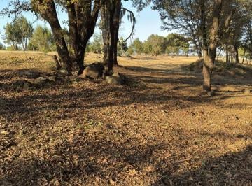 Terreno / Lote , Huasca de Ocampo · Se Vende Terreno Campestre en Huasca de Ocampo
