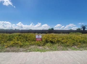 Terreno / Lote , Alvarado · Terreno Junto a La Práctica en Golf Frente a Área Verde en Marina Punta Tiburón