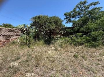 Terreno / Lote , Guadalupe · Venta de Terreno en Guadalupe, Zacatecas