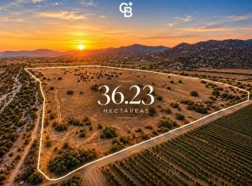 Terreno / Lote , Ensenada · 36.23 Ha en Valle de Guadalupe a Pie de Carretera, Junto a L. A. Cetto
