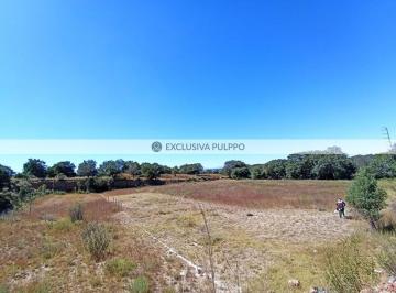 WhatsApp Image 2026-09-29 at 1.24.54 PM.jpeg · Terreno Residencial en Venta en Pueblo Santa Cruz Tlaxcala