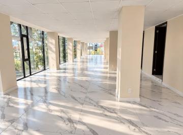 Oficina , Cuauhtémoc · Renta Piso Completo en Roma Norte