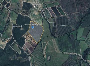 1 · Terreno en Venta en Montemorelos
