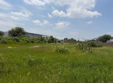 Terreno / Lote , El Salto · Terreno en Venta y Renta Las Pintitas, El Salto