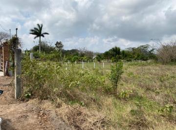 Terreno / Lote · 15000m² · Terreno en Venta 15 Mil m² Rumbo a Paso del Toro Veracruz