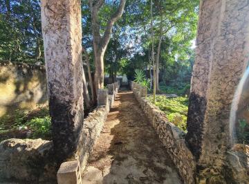 Terreno comercial de 2 habitaciones, Motul · Excelente Terreno Comercial en Renta Sobre Av Principal – Motul, Yucatán
