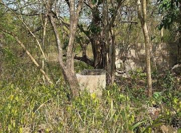 c330bf2ccf73f23ba2da9b597399e40489e4249210bf19eb1b9c3f936eec2b32 · ¡Rancho en Venta! Tizimin, Yucatán.