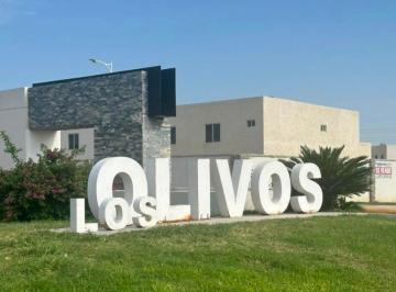 Terreno / Lote · 658m² · Terreno Residencial en Venta en Los Olivos, Gómez Palacio, Dgo.