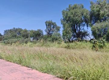 Terreno comercial · 3330m² · Terreno en Venta La Campiña de Celaya