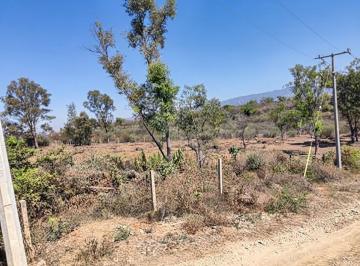Terreno / Lote , Ixtlahuacán de los Membrillos · Terreno Rustico en Venta en Fracc. Paraiso Escondido Precio de Remate Ixtlahuacan de Los Membrillos