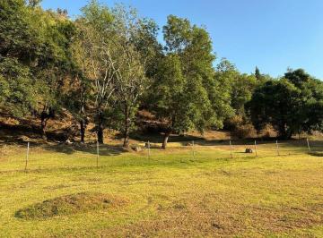 2de0287a08b2557fbf7f0d76355d60076bde22d962ffba519edb5f20629b1236 · Venta Terreno en Valle de Bravo