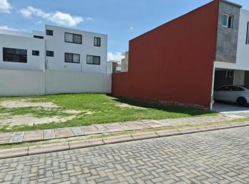 Terreno / Lote , San Pedro Cholula · Terrenos en Venta Dentro de Fraccionamiento Arboreto en Av Forjadores