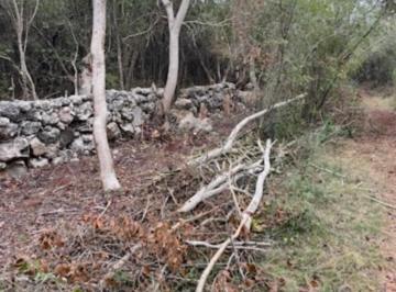 Terreno / Lote , Seyé · Terreno de 7 Hectáreas en Seyé, Yucatán – Ubicación Estratégica Para Inversión y
