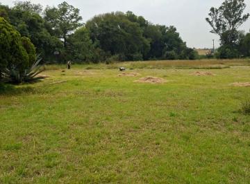 Terreno / Lote , Tepotzotlán · Terreno en Renta Tepotzotlán