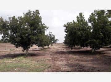 Terreno / Lote · 1031m² · Terrenos Campestre en Venta en Gomez Palacio Dgo.