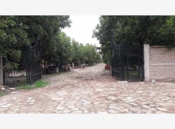 Terreno / Lote · 1231m² · Terrenos Campestre en Venta en Gomez Palacio Dgo.