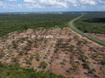 Terreno / Lote , Mérida · Terreno 13.7 Hectáreas en Venta, Sobre Carretera en Mérida Yucatán