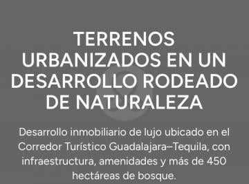 IMG_7362.jpeg · Terreno Residencial en Venta en Pueblo Teuchitlán