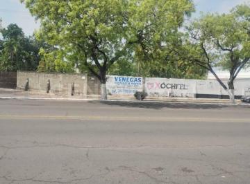 Terreno / Lote · 1050m² · Terreno en Renta Sobre Av Insurgentes