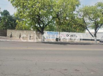 Terreno / Lote · 1050m² · Terreno en Renta Sobre Av Insurgentes