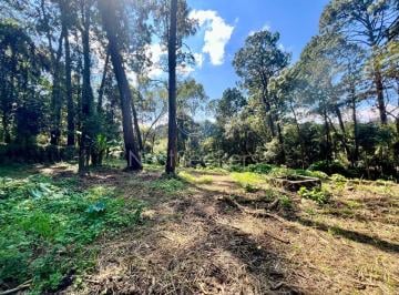 Terreno / Lote , Valle de Bravo · Terreno Para Desarrollo en Venta en Avándaro