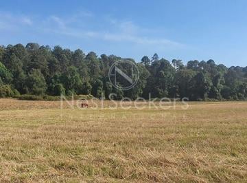 Terreno / Lote , Valle de Bravo · Terreno Para Desarrollo o Rancho en Acatitlan