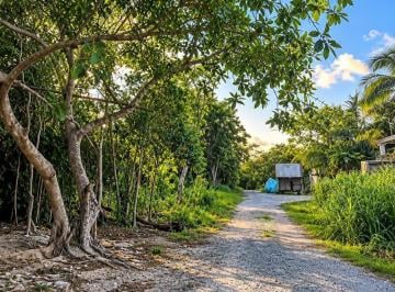 Terreno / Lote · 2500m² · Terreno Habitacional en Venta en Huayacán, Cancún | 2,500 m²