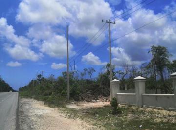Terreno / Lote · 8250m² · Terreno en Renta en Cancún Al Final de La Huayacán Sobre Carretera Cancún–mérida